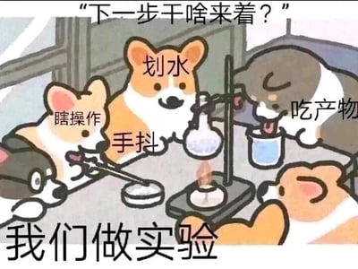 这是一张卡通风格的静态趣味梗图，画面里五只柯基围在实验装置旁模拟做实验的场景，但每只柯基的状态都在“摸鱼”：左上角的柯基被标注“瞎操作”，正胡乱摆弄实验器具；中间的柯基标注“划水”“手抖”，拿着实验器具的手在发抖，完全没有认真操作的样子；右上角的柯基标注“吃产物”，正低头舔舐容器里的东西；还有两只柯基分别在旁边围观，没有正经参与实验流程。图的顶部配文“下一步干啥来着？”，底部配文“我们做实验”，用强烈的反差感幽默调侃了工作或学习中团队成员摸鱼、不认真完成任务的状态，可爱的柯基形象让这种摸鱼场景显得诙谐又不尖锐，很容易引发网友的共鸣。