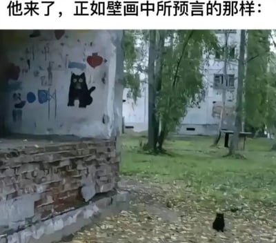 图片展示了一处户外场景，左侧是一面风化的墙壁，上面有各种涂鸦，其中最显眼的是一幅黑色猫咪的简笔画。墙壁前方的地面上覆盖着落叶，一只真实的黑色猫咪正安静地坐在落叶中，其位置和姿态与壁画中的黑猫高度相似。图片顶部配有文字“他来了，正如壁画中所预言的那样：”，通过幽默的方式将现实中的黑猫与壁画涂鸦联系起来，营造出一种“预言成真”的趣味效果。