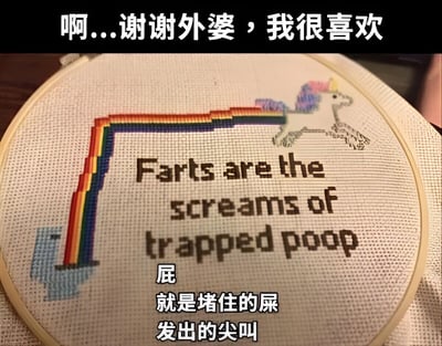 图片展示了一个圆形十字绣绷架，内有白色底布的十字绣作品。绣品右侧是一只白色独角兽，鬃毛和尾巴为彩虹渐变色，正做出奔跑姿态。独角兽下方绣有英文文字“Farts are the screams of trapped poop”，下方配有中文翻译“屁就是堵住的屎发出的尖叫”。图片顶部有黑色背景白色文字“啊...谢谢外婆，我很喜欢”。整体通过可爱的十字绣形式与粗俗幽默的文字内容形成强烈反差，营造出收到长辈用心礼物却因内容尴尬的搞笑场景。