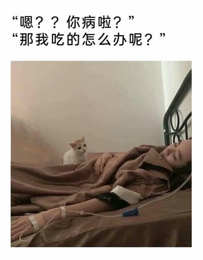 这是一张带有趣味配文的实拍图，画面中一位盖着棕色毯子的人躺在床上，手臂上插着输液管，看起来处于生病虚弱的状态；在其身旁的床上，坐着一只白橘相间的猫咪，正看向生病的主人。图片上方以猫咪的视角配了两段文字：“嗯？？你病啦？”“那我吃的怎么办呢？”，用幽默的反差感，调侃猫咪看似关注主人，实则只在意自己食物的“自私”又可爱的心态，让人忍俊不禁。