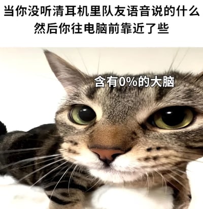 这是一张搞笑梗图，上方文字描述了游戏时没听清耳机里队友语音，于是往电脑前靠近的场景。图片主体是一只虎斑猫的近距离特写，猫咪瞪大绿色眼睛，表情呆萌，额头处叠加文字'含有0%的大脑'，幽默地表现出没听清语音时的困惑和放空状态。