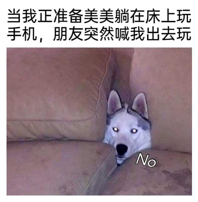 这是一张图文结合的趣味静态梗图，上方配有文字“当我正准备美美躺在床上玩手机，朋友突然喊我出去玩”，下方是一只哈士奇躲在沙发的缝隙中，只露出头部，它的眼睛发亮，眼神带着明显的抗拒，旁边还配有英文“No”的字样。这张图将哈士奇的神态动作拟人化，精准地表现出原本计划享受宅家躺平玩手机的舒适时光的人，突然被朋友邀约出门时，那种极度不情愿、不想动弹的抗拒心情，用宠物的可爱状态来传递日常情绪，十分贴切且充满笑点。