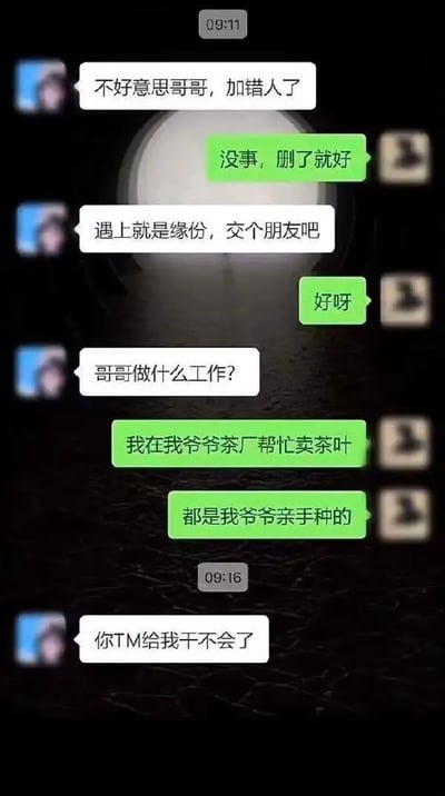 这是一组微信群聊截图，内容为一名微信用户"加错"了另一个人，试图用常见的“交朋友切入话题”，套路式地向对方问职业，结果对方以“在爷爷茶厂卖茶叶”机智应对，把网络常见的“PUA骗友+卖茶叶”套路反玩一波。最终女生无语吐槽“你TM给我干不会了”，表现出被对方的反套路气到的幽默场景。

图片有明显网络梗“卖茶叶+反杀套路”的双关和话语游戏。PUA内容被调侃化，风格轻松搞笑。