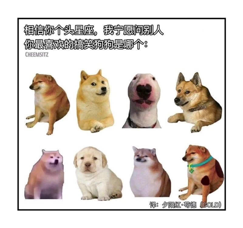 Doge