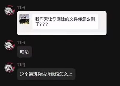 这是一张深色主题的即时通讯软件聊天记录截图，共展示三条消息：第一条是他人发来的质问消息，内容为“我昨天让你删除的文件你怎么删了？？？”；后两条由昵称为“11円”、头像是白发卡通人物的用户发出，该用户先回复“哈哈”，随后情绪爆发吐槽“这个逼班你告诉我该怎么上”，精准展现了职场人工作出错被问责时崩溃、无奈的心态，很容易引发上班族群体的共鸣。