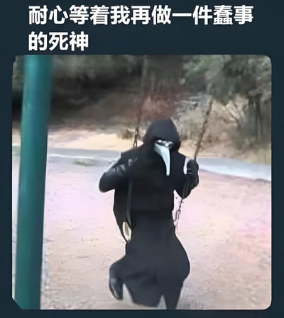 图片中显示一个穿着黑色瘟疫医生服装的人坐在公园的秋千上，背景是模糊的自然景观。图片上方配有文字'耐心等着我再做一件蠢事的死神'，通过将象征死亡的瘟疫医生形象与荡秋千这一轻松活动结合，创造出幽默效果，暗示死神在耐心等待某人再次做出愚蠢行为导致危险。