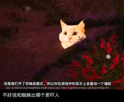 这是一张基于游戏恐蛛症模式制作的搞笑梗图，原本游戏里会让玩家恐惧的蜘蛛，在开启恐蛛症模式后被替换成了一张从花丛中探出来的疑惑猫脸。图中字幕解释了该模式的显示效果，下方配文吐槽“不好说和蜘蛛比哪个更吓人”，用幽默的方式调侃这个为照顾恐蛛玩家设置的模式，反而可能因猫脸的突兀出现带来别样的惊悚感，引发玩家的共鸣与趣味讨论。