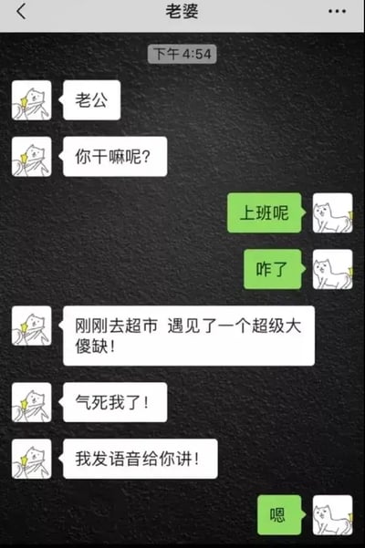 这是一张模拟情侣微信聊天的梗图，老婆在微信里抱怨自己遇到一个“超级大傻缺”，情绪激动，想语音倾诉，而老公则用非常简短和敷衍的“嗯”来回应，营造了情侣间沟通温差的搞笑氛围。整张图片采用手绘猫咪表情和微信对话气泡，传达出现实时很多情侣日常沟通中的趣味场景。没有明确的双关、谐音梗，但极具生活感和共鸣感。