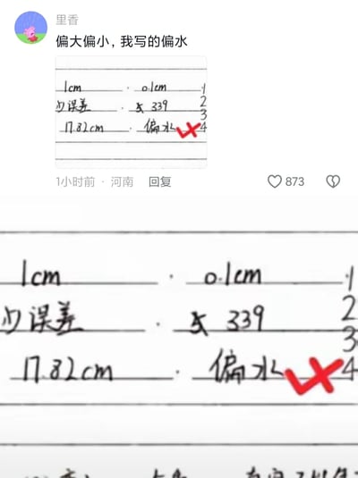 这是一张来自国内社交平台的评论区截图，用户“里香”分享了自己的作业答题失误：在一份涉及长度测量（内容包含1cm、0.1cm、17.82cm、“误差”字样）的作业中，题目要求填写测量结果的误差是偏大还是偏小，该用户误将答案写成“偏水”，被老师用红色叉号标注。用户配文“偏大偏小，我写的偏水”，这条回复发布于河南，1小时前发布，获得了873个点赞。截图下方还有作业内容的放大图，清晰展示了错误的“偏水”字样和其他作业内容。