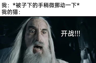 暂无描述