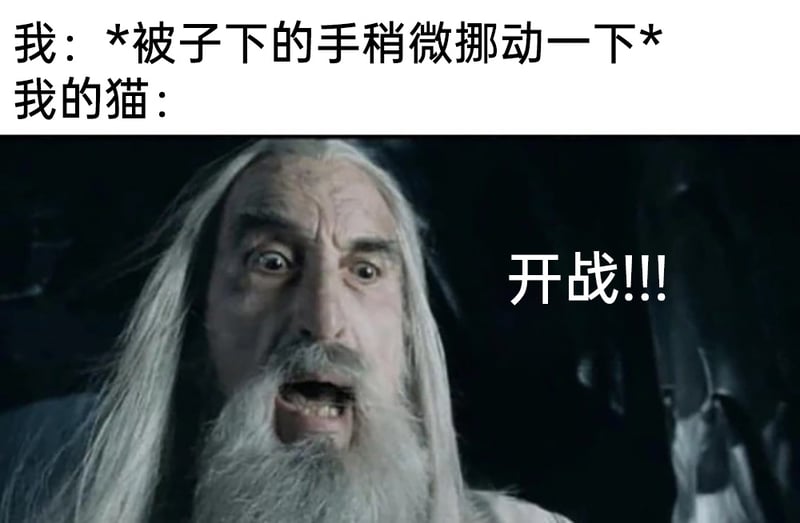 萨鲁曼