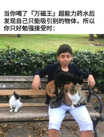 图片上方配有文字“当你喝了『万磁王』超能力药水后发现自己只能吸引别的物体，所以你只好勉强接受时：”，下方是一张公园场景的照片。照片中，一名男孩坐在木制长椅上，表情略带无奈和勉强，他的腿上和身旁的长椅上挤满了多只不同颜色的猫咪，包括黑色、橘色、灰白相间等，营造出一种“吸引物体”却只吸引了猫咪的幽默反差效果。