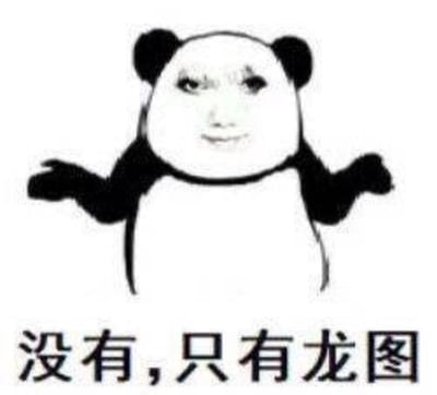 这是一张网友自制的合成梗图，经典的熊猫头表情包身体搭配了一张带有妆容的真人脸部，熊猫双手摊开，摆出无所谓的姿态，下方配文“没有，只有龙图”。图中用摊手耍无赖的语气，回应他人的索要或询问，表达自己仅持有“龙图”相关内容，风格搞笑玩梗，常用于社交聊天中的互动场景。