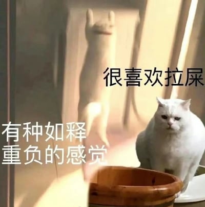 一只白猫坐在木碗旁边，背景有阳光照射形成的猫影子。图片上配有幽默文字："很喜欢拉屎"和"有种如释重负的感觉"，通过拟人化的方式表现猫咪排便后的轻松状态，营造出搞笑效果。