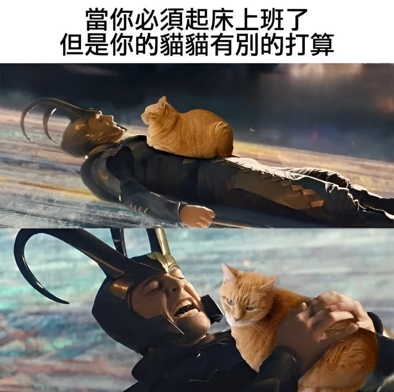 洛基