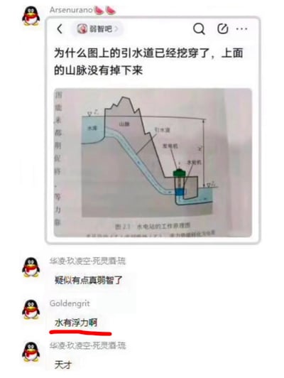 图片是一张在群聊里的截图梗。主体内容为一位网友在贴吧问：‘为什么图上的引水道已经挖穿了，上面的山脉没有掉下来’，配图是一张水电站原理示意图。群友评论‘疑似有点真弱智了’，随后另一人一本正经回复‘水有浮力啊’，最后群里感叹‘天才’。言语中带有明显的反讽，以及对‘浮力’与山体塌陷逻辑的双关、谐音梗玩笑。整体氛围幽默、讽刺。该图时常被用来嘲讽基础物理知识薄弱或一本正经胡说八道。