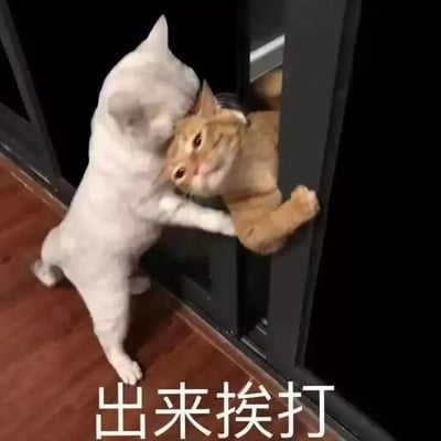 这是一张静态表情包图片，画面呈现了两只猫咪的趣味互动：一只白色猫咪用爪子扒着卡在门框里的橘猫，姿态看起来颇有“气势”，仿佛要将橘猫拉出来；被门框夹住的橘猫只能探出上半身，脸上露出无奈又委屈的表情，爪子扒着门框，显得十分可怜。图片下方配有醒目的文字“出来挨打”，用猫咪的真实互动场景搭配贴合情绪的文字，生动地表现出想要找对方理论、“算账”的情绪，整体风格搞笑诙谐，适合在日常聊天中用来表达不满、调侃对方的心情。
