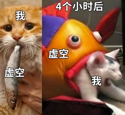 左侧是一只橘猫睁大眼睛，嘴里叼着一条银色的鱼，猫的上方有文字“我”，鱼的下方有文字“虚空”；右侧标注“4个小时后”，一个戴着红、蓝、橙三色鱼头套（眼睛巨大）的人抱着一只黑白相间的小猫，鱼头套上方有文字“虚空”，小猫下方有文字“我”。通过左右对比幽默展现了“我”与“虚空”的角色反转，最初“我”（猫）掌控“虚空”（鱼），4小时后“虚空”（鱼头套）掌控“我”（小猫）。