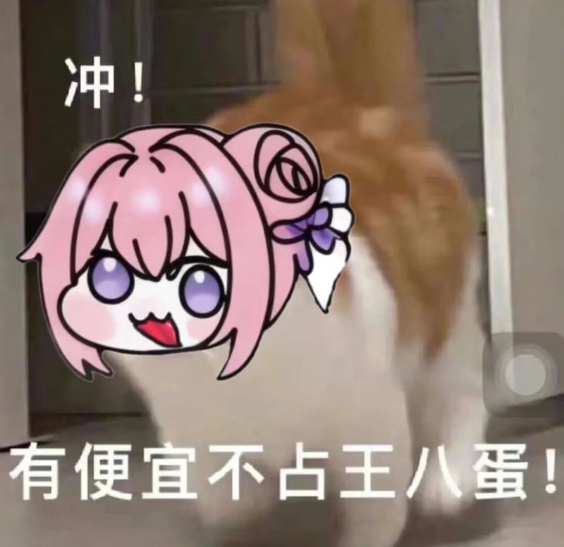 Doro冲！有便宜不占王八蛋