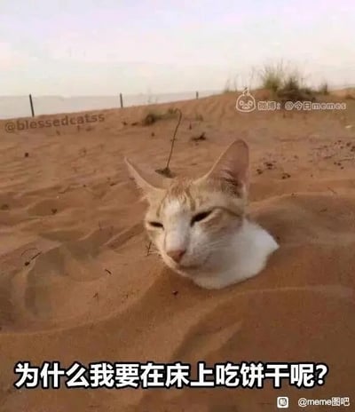 这是一张经过文字改编的搞笑静态图，画面主体是一只黄白相间的猫咪，它的头部露出沙地，身体完全埋在沙中，双眼半睁，表情看起来十分懊悔、萎靡，一脸生无可恋的样子。图片底部配有中文文字“为什么我要在床上吃饼干呢？”，将猫咪埋沙的窘迫状态和人类因为做了蠢事而自责的情绪结合起来，用拟人化的方式营造出强烈的反差感，搞笑地表现出对自己不当行为的懊悔，很容易让有过类似后悔经历的人产生共鸣。