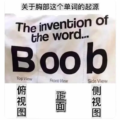 这是一张创意趣味梗图，主题为“关于胸部这个单词的起源”，通过英文俚语“Boob”（指代胸部）的字母形态，对应胸部的三个视角：将字母“B”对应标注“Top View（俯视图）”，两个字母“o”对应标注“Front View（正面视图）”，字母“b”对应标注“Side View（侧视图）”，同时搭配中文“俯视图”“正面”“侧视图”的标注，用象形的方式调侃这个单词的“起源”，属于利用文字形态和人体部位特征结合的搞笑创意，整体风格轻松诙谐，适合在社交平台传播博人一笑。