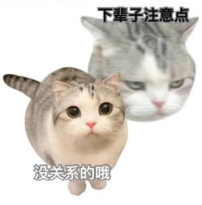 图片前景是一只圆滚滚的灰白相间猫咪，有着超大的无辜眼睛，正抬头注视前方；背景是一张放大的灰色虎斑猫咪脸，表情严肃略带不悦。图片上方配有文字'下辈子注意点'，下方配有文字'没关系的哦'，通过可爱猫咪与严肃猫咪的表情反差，结合文字形成幽默调侃的效果。
