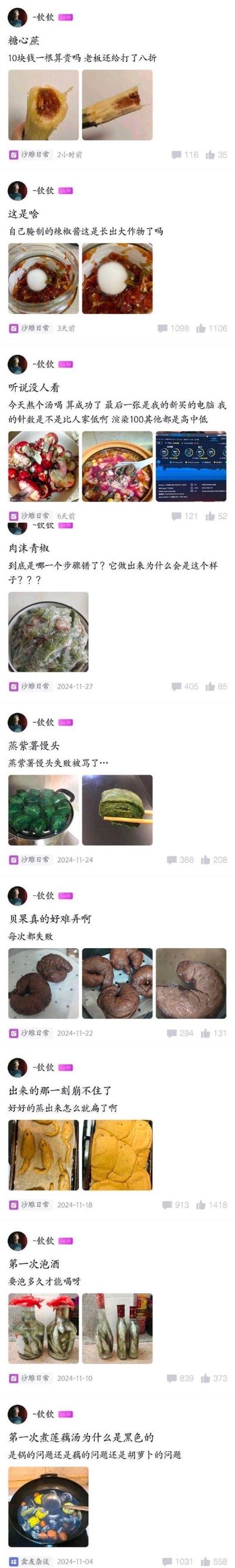 这是用户「-钦钦」在社交平台发布的多条生活动态合集，内容以做饭翻车现场为主，搭配少量生活好物分享：
1. 购买的糖心蔗，10元一根还打八折，展示的蔗内部有深色异常部分；
2. 自制辣椒酱中长出了巨大的白色菌球，用户疑惑发问；
3. 熬汤成功，顺便展示新买的电脑，询问自己的电脑针数是否偏低；
4. 制作肉沫青椒成品惨不忍睹，用户疑惑哪一步出错；
5. 蒸紫薯馒头失败变成绿色，还被家人责骂；
6. 尝试制作贝果多次失败，成品形状怪异；
7. 蒸的面食全部扁塌，用户当场崩溃；
8. 第一次泡酒，询问网友泡多久可以饮用；
9. 第一次煮莲藕汤变成黑色，疑惑是锅、藕还是胡萝卜的问题。
整体内容充满真实又搞笑的生活气息，满是无奈与疑惑的情绪。