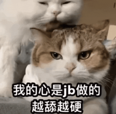 动图展示了一只白猫正在舔另一只橘白相间猫的头部，被舔的橘白猫表情从眯眼嫌弃到睁眼直视，展现出不耐烦的情绪变化。图片下方配有文字“我的心是jb做的 越舔越硬”，通过粗俗比喻表达“越讨好越冷漠”的含义。