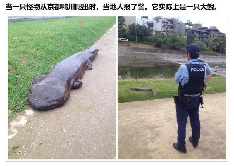 警察