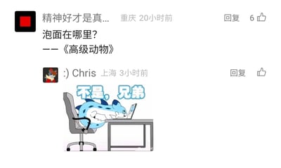 这是一张社交媒体评论区的截图，来自重庆的用户“精神好才是真...”发布评论，借用崔健歌曲《高级动物》的形式，抛出生活化疑问“泡面在哪里？——《高级动物》”进行玩梗；来自上海的用户:) Chris在3小时前回复了一张卡通表情包，图中是一只蓝白相间的卡通生物，它趴在办公椅上，身体前倾凑在桌前的笔记本电脑前，配文“不是，兄弟”，传递出无奈、吐槽的情绪，用来回应上方的无厘头玩梗评论，整体是轻松的网络社群互动场景。
