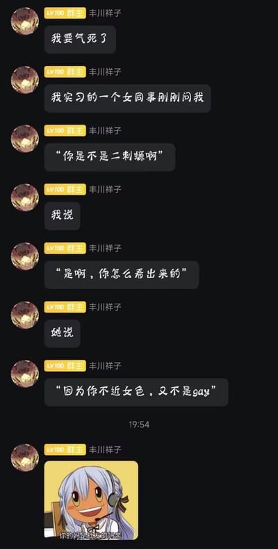 这是一段竖屏的群聊记录截图，群主丰川祥子在群里吐槽自己的职场经历：实习女同事用“不近女色又不是gay”的刻板印象，判定他是“二刺螈”（“二次元”的谐音梗），群主最后发送了一张魔改的二次元少女表情包，表情包文字是脏话的谐音“你的妈是批发的吗亲”，以此发泄自己被贴刻板印象标签的愤怒与无语。
其中“二刺螈”是“二次元”的谐音，是部分网友对二次元爱好者的调侃称呼；表情包文字是脏话的谐音，用来表达强烈的负面情绪。