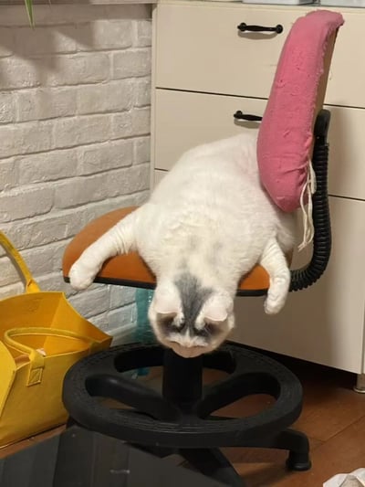 一只白色猫咪以极其放松的姿势瘫在办公椅上，身体几乎完全舒展开来，头部低垂，前爪自然垂下。椅子配有橙色坐垫和粉色靠垫，位于一个室内环境中，背景有白色砖墙和白色抽屉柜，旁边还有一个黄色的篮子。整个画面呈现出一种慵懒、舒适的居家氛围，猫咪的姿势仿佛在模仿人类放松时的状态，十分有趣可爱。