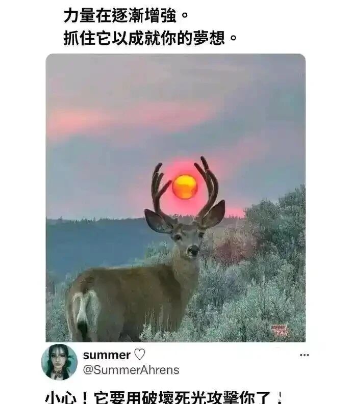野外自然场景