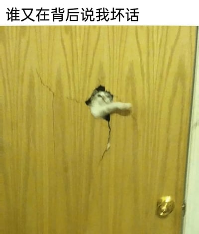 这是一张趣味拟人化宠物表情包图片，画面主体是一扇带有金色门把手的浅黄色木质门，木门中间被抓破一个不规则的破洞，一只白灰相间的猫咪爪子从破洞处向外伸出，姿态仿佛在窥探门外的动静。图片上方配有黑色简体中文文字“谁又在背后说我坏话”，将猫咪的动作拟人化，赋予其“怀疑被人背后议论，好奇又略带不满地探看”的人类情绪，营造出诙谐搞笑的氛围，非常适合用来表达自己疑神疑鬼、怀疑被他人背后议论时的心情。