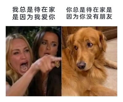 这是一张左右拼接的搞笑反差梗图，左侧截取了美剧《比弗利娇妻》中愤怒嘶吼的金发女生的经典吵架场景，配文“我总是待在家是因为我爱你”，模拟出自我感动式的发言；右侧是一只趴在地面上、眼神委屈失落的金毛犬，配文“你总是待在家是因为你没有朋友”，用扎心的真相戳破前者的自我感动。整张图通过强烈的情绪反差和内容对比，以幽默自嘲的方式吐槽宅家的真实原因，精准戳中社恐或长期宅家人群的共鸣点，充满搞笑又扎心的氛围。