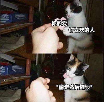 该图为上下对比的双 panel  meme。上 panel 中一只三花猫站立着伸手，指向手的文字标注“你的爱”，指向猫的文字标注“你喜欢的人”，营造出“你喜欢的人伸手获取你的爱”的场景；下 panel 中猫正低头舔舐爪子，旁边文字标注“*偷走然后摧毁*”，通过猫咪前后行为的反差，幽默调侃了“喜欢的人不珍惜自己感情反而破坏”的无奈情境。