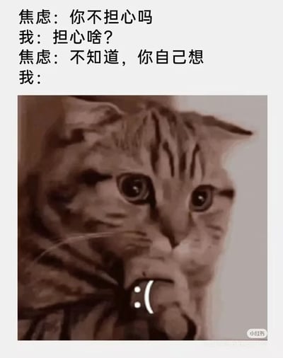 这是一张图文结合的搞笑表情包，通过模拟“焦虑”与“我”的对话场景，精准还原了当代人被莫名无意义焦虑支配的真实状态：焦虑先发起灵魂质问“你不担心吗”，“我”疑惑反问“担心啥？”，焦虑却给出“不知道，你自己想”的无厘头回复，下方搭配了一只瞪大双眼、爪子抵在嘴边的猫咪，猫咪嘴边还添加了代表大脑“加载中、一片空白”的动画图标，生动形象地表现出“我”在被这种无意义的焦虑提问后，瞬间陷入茫然、大脑卡顿、不知所措的状态，用幽默戏谑的方式戳中人们时常被莫名焦虑困扰的情绪痛点，适合用于社交平台表达自己被焦虑裹挟却又毫无头绪的心情。