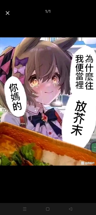 图片中是一个动漫风格的女孩，她有着棕色的头发和动物耳朵，头上戴着紫色和粉色的蝴蝶结。女孩眼睛含泪，脸上带着混合着悲伤和微笑的复杂表情，正看着面前的一份便当。图片中有两个对话气泡，左边写着“你媽的”，右边写着“為什麼往我便當裡放芥末”，表达了女孩对便当里被放入芥末的惊讶和委屈。背景中可以看到模糊的建筑物，暗示这可能是在学校或户外场景。
