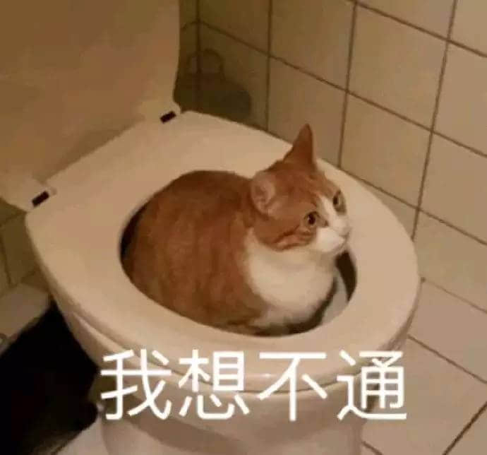 橘白猫坐马桶思考人生：我想不通