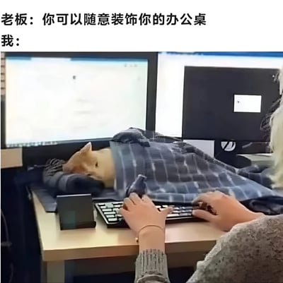 这张梗图展示了一个有趣的办公室场景。上方文字写着'老板：你可以随意装饰你的办公桌'，下方文字'我：'引出图片内容——一只猫盖着毯子睡在电脑旁的办公桌上，而员工正在键盘上打字。这种幽默表现了员工对'随意装饰'的独特理解，用宠物猫作为办公桌装饰。