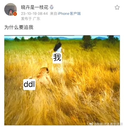 这是微博用户“晓卉是一枝花”发布的一条职场吐槽内容，发布时间为2023年10月19日08:44，发布地为广东，来自iPhone客户端。内容包含一张经过文字加注的图片，原图是草原野外场景，一只猎豹在后方追赶前方奔跑的人，图中用白色方块分别将奔跑的人标注为“我”，猎豹标注为“ddl”（即工作截止日期的英文缩写），搭配发布文案“为什么要追我”，用生动的画面幽默调侃当代打工人被工作截止日期追赶的焦虑与慌乱，精准戳中职场人的日常痛点，容易引发群体共鸣。图片右下角带有水印“@你别说还真是这样”，用于扩大内容的传播范围。