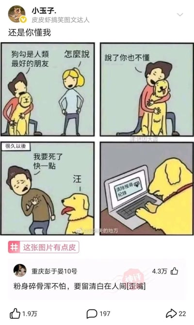 这是一张发布于皮皮虾平台的四格搞笑卡通漫画，由用户“小玉子.”发布，配文“还是你懂我”。漫画第一格中，一名男子抱着金毛狗，对叉腰疑惑的女子说“狗勾是人类最好的朋友”，女子询问“怎么说”；第二格男子抱着狗回应“说了你也不懂”，表现出对狗的信赖；第三格跳转至“很久以后”，男子病危，虚弱地呼喊“我要死了 快一点”，狗发出“汪”的叫声；第四格是神反转的核心：狗正趴在笔记本电脑前，操作界面显示“清除搜尋紀錄”，揭示出男子说狗“懂自己”的真相是狗知晓男子的秘密，在其病危时销毁证据。评论区用户“重庆彭于晏10号”的高赞评论“粉身碎骨浑不怕，要留清白在人间[歪嘴]”用古诗玩梗，调侃狗的行为是帮男子“维护清白”，进一步放大了搞笑效果。