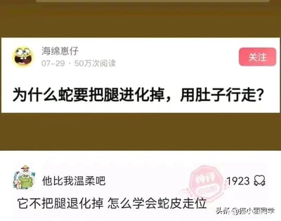 这是一张来源于今日头条平台的社交媒体截图，分为上下两部分：上方是用户“海绵崽仔”在07-29发布的提问“为什么蛇要把腿进化掉，用肚子行走？”，该内容获得了50万次阅读；下方是用户“他比我温柔吧”针对这个问题的趣味回复“它不把腿退化掉 怎么学会蛇皮走位”，这个回复玩了游戏术语“蛇皮走位”的谐音梗，将生物进化问题用游戏梗进行搞笑解答，获得了1923个点赞，还带有“神评”的印章标识，整体内容充满趣味性，结合了科普提问和网络游戏梗。