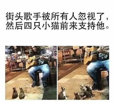 图片为左右对比的双图拼接，上方配有文字说明。左侧画面中，一名街头歌手坐在凳子上弹奏吉他，周围环境虽有行人但无人驻足，仅有两只小猫蹲坐在他面前；右侧画面中，同一名歌手继续弹唱，此时已有四只小猫围聚在他脚边，仰头注视着他，形成温馨对比。整体展现了从被忽视到获得小猫“支持”的暖心场景。
