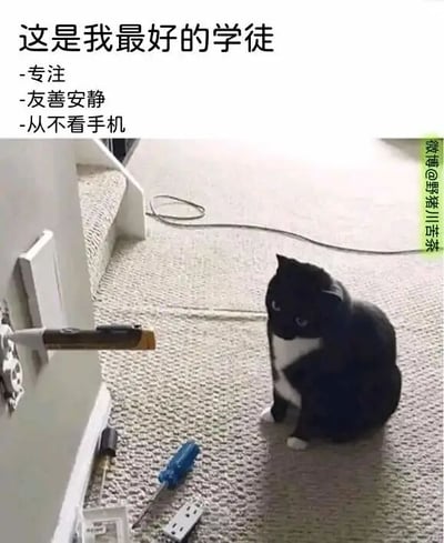 暂无描述