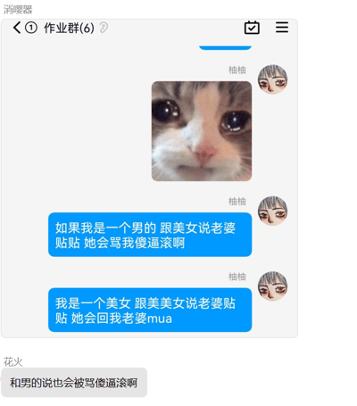 这是一张名为“作业群(6)”的微信聊天记录截图，群成员柚柚先发送了一张带有委屈表情的猫咪表情包，随后分享了自己的趣味观察：假设自己是男生对美女说“老婆贴贴”，会被对方骂“傻逼滚啊”；但如果是美女对美女说“老婆贴贴”，对方会回应“老婆mua”。之后群成员花火补充道，要是对男生说“老婆贴贴”，同样会被骂“傻逼滚啊”。这段聊天内容调侃了不同性别之间说亲密话语时的不同反应，体现了同性好友之间和异性之间在这类互动上的差异，是群成员日常的趣味闲聊内容。