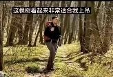 图片展示了一棵生长在森林环境中的树，树干较为笔直，周围有其他树木环绕形成自然背景。图片中央叠加了白色文字“这棵树看起来非常适合上吊”，通过日常自然场景与极端、消极文字的强烈反差制造黑色幽默效果，属于带有讽刺意味的 meme 内容。
