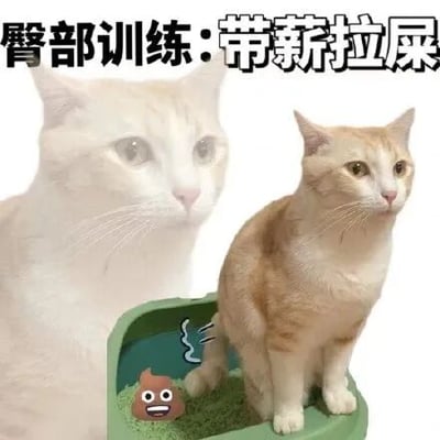 这是一张经过P图改编的静态文字加注图，画面主体是一只浅橘色猫咪蹲在绿色猫砂盆中，猫砂盆内还添加了一个带有搞怪表情的卡通便便图案，猫咪的左侧有一个同猫咪的半透明虚影。图片顶部配有醒目的文字“臀部训练：带薪拉屎”，该图用猫咪如厕的场景，幽默调侃职场中员工在工作时间带薪如厕的摸鱼行为，将日常的如厕行为戏称为“臀部训练”，结合“带薪拉屎”的职场吐槽点，制造出诙谐搞笑的效果，属于职场相关的趣味梗图。