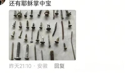 这是一张社交媒体评论截图，顶部配文为“还有耶稣掌中宝”，下方配图是在浅色平面上摆放着数十枚不同规格、不同形态的金属钉子，包含螺丝钉、普通铁钉、弯折的铁钉等多种类型，截图底部标注了评论发布时间为昨天21:10，发布地点为安徽，还带有回复按钮。内容玩谐音双关梗，“掌中宝”原是常见食材，此处结合耶稣被钉在十字架上手掌穿钉的典故，戏称这些钉子为“耶稣掌中宝”，制造笑点。