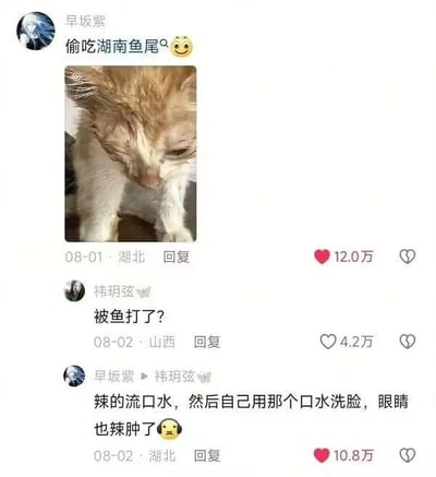 社交媒体截图显示用户“早坂紫”发布了一张猫咪的照片，配文“偷吃湖南鱼尾😋”。照片中的猫咪毛发略显凌乱，眼睛红肿，看起来十分狼狈。评论区中，用户“祎玥弦”调侃“被鱼打了？”，“早坂紫”回复解释称猫咪因偷吃湖南鱼尾被辣得流口水，随后用口水洗脸导致眼睛辣肿，引发网友爆笑。该帖子获得了12.0万、4.2万和10.8万的点赞量，互动热度较高。
